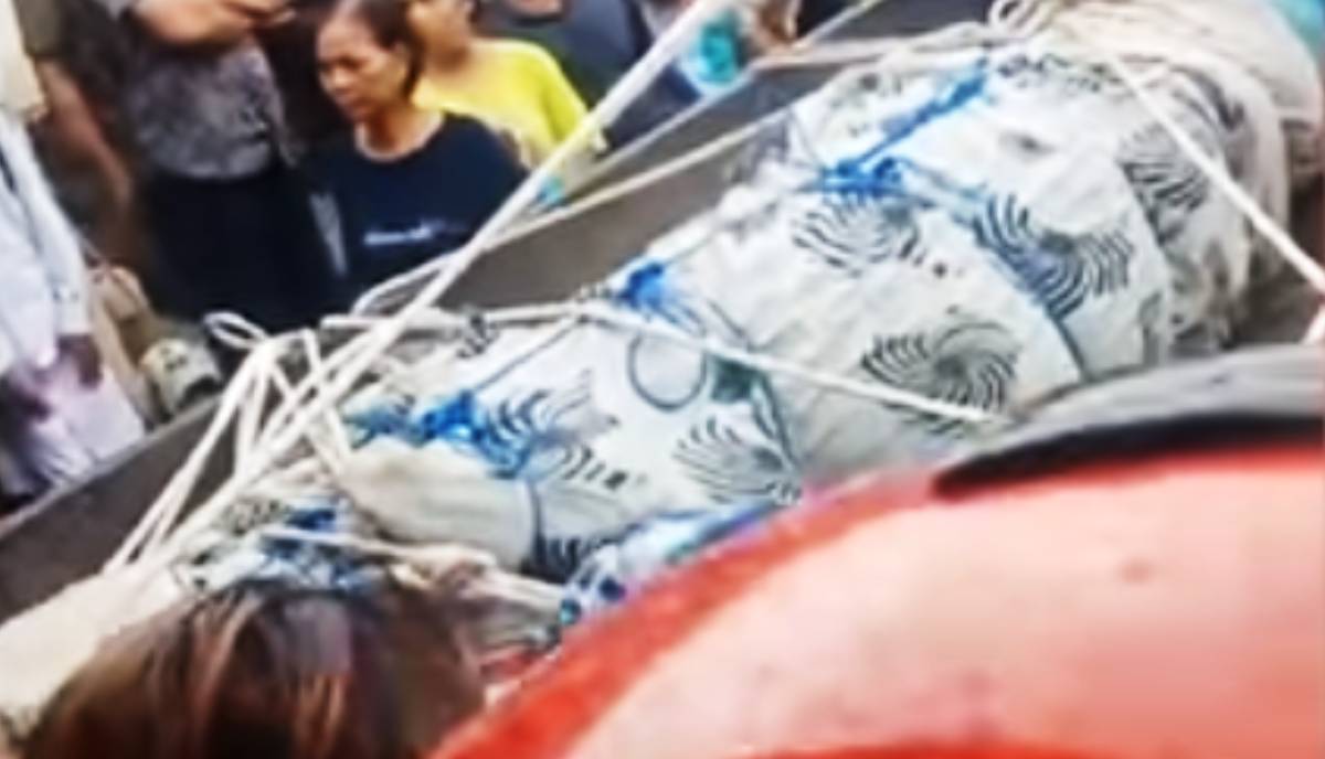 Znanstvenicu u Indoneziji pojeo krokodil